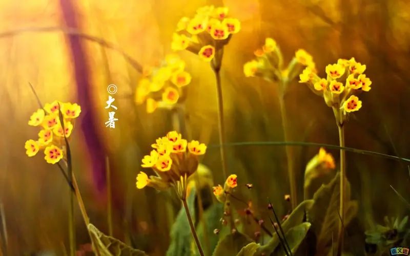 89c0474648ea1ec5368494b89978e38a.jpeg 图片